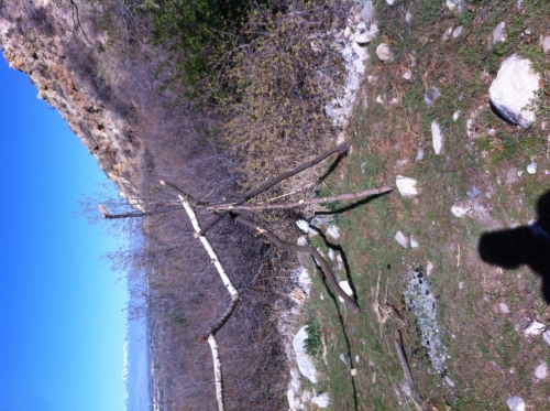 1428097850image.jpg