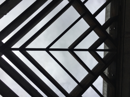 1463710513image.jpeg