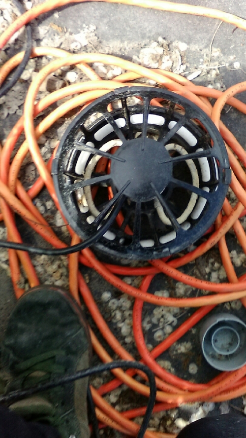 1464322466image.jpeg