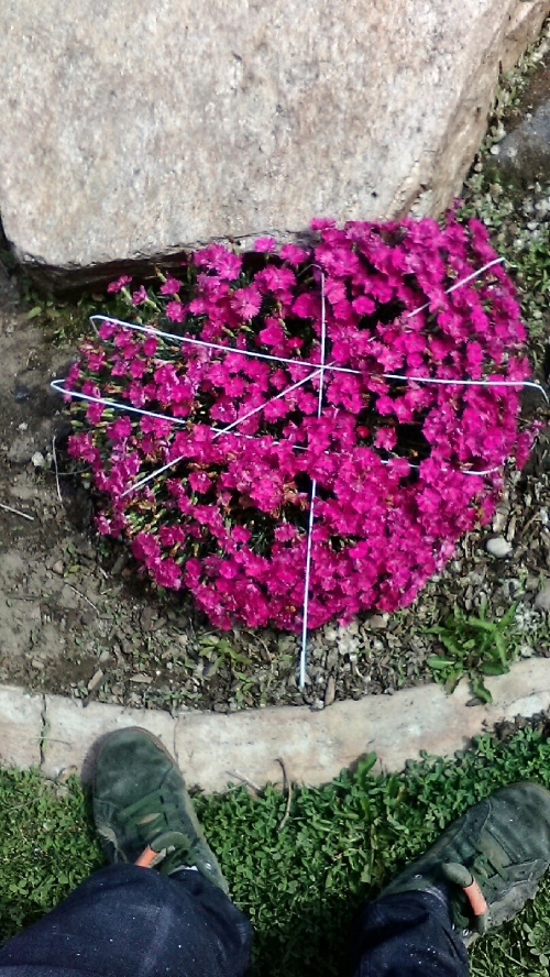 1464322478image.jpeg