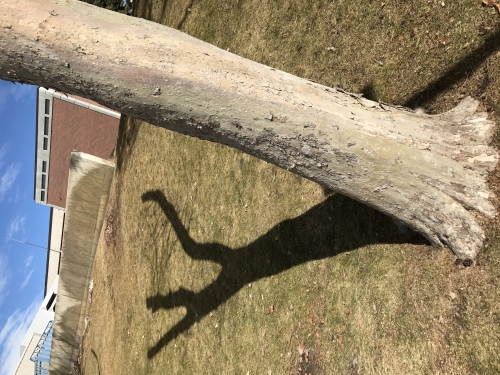 1487345940IMG_3943.JPG
